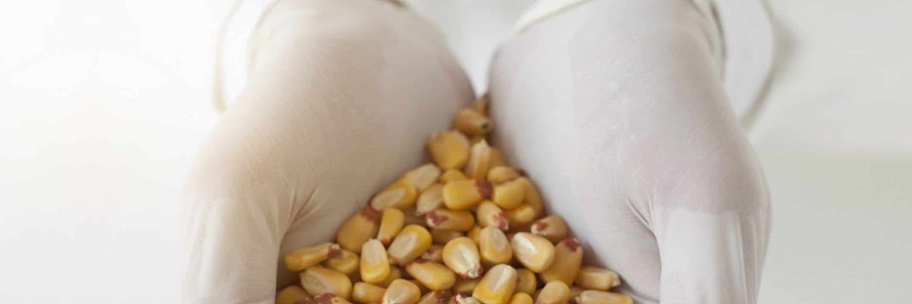 Specific in vivo ducklings model to assess AFB1-binding ability