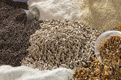 FR Raw Animal Feed Materials