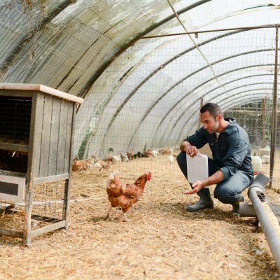 AdobeStock_220266747-scaled-1-2