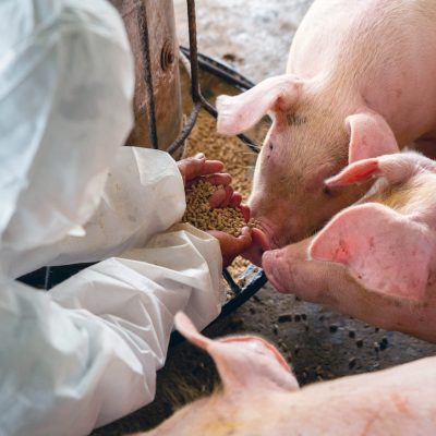 AdobeStock_264369768-scaled-1-2