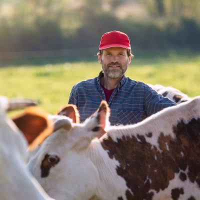 AdobeStock_302888879-scaled-1-2