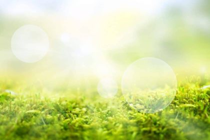 AdobeStock_411832374-1-scaled-900×700-1