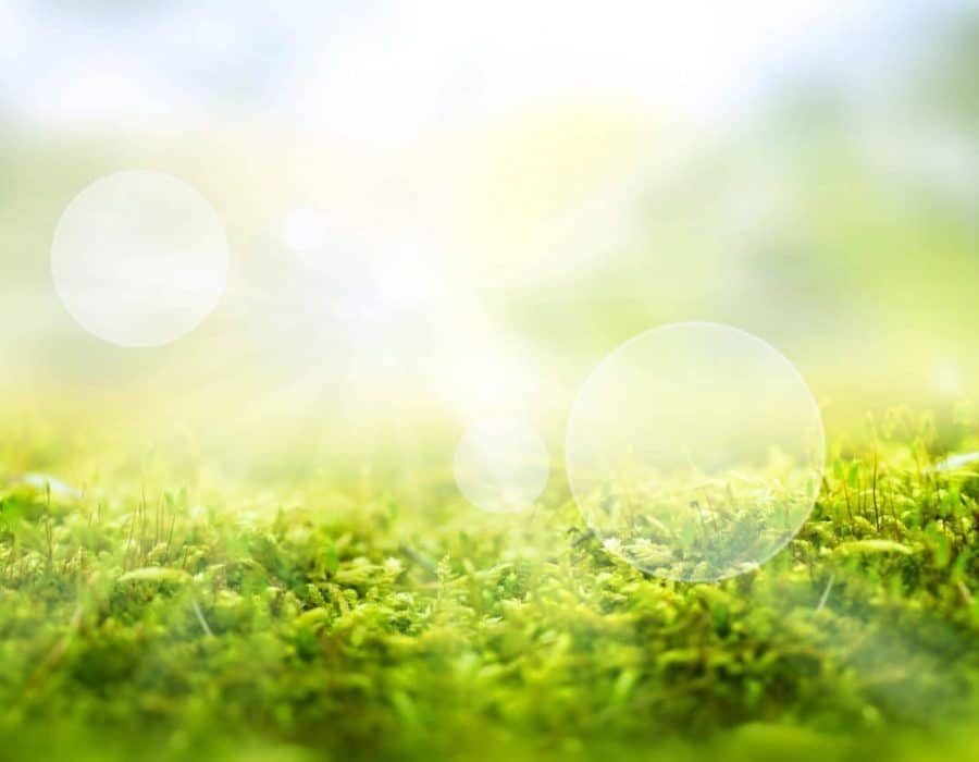 AdobeStock_411832374-1-scaled-900×700-1