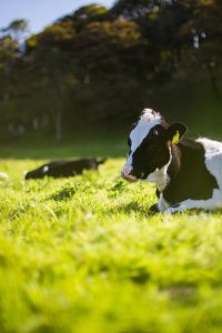 andy-kelly-5APBLfC2hUs-unsplash