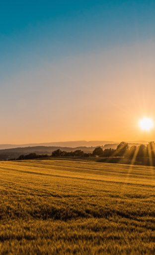 federico-respini-sYffw0LNr7s-unsplash-scaled-312×515