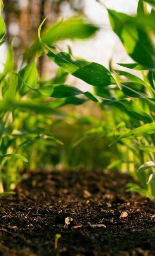 steven-weeks-DUPFowqI6oI-unsplash-scaled-312×515